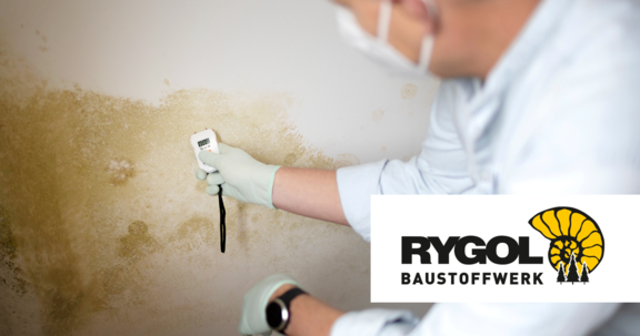 Kalkputz schützt vor Schimmel